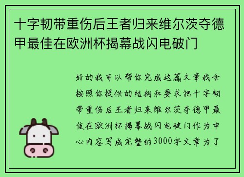 十字韧带重伤后王者归来维尔茨夺德甲最佳在欧洲杯揭幕战闪电破门